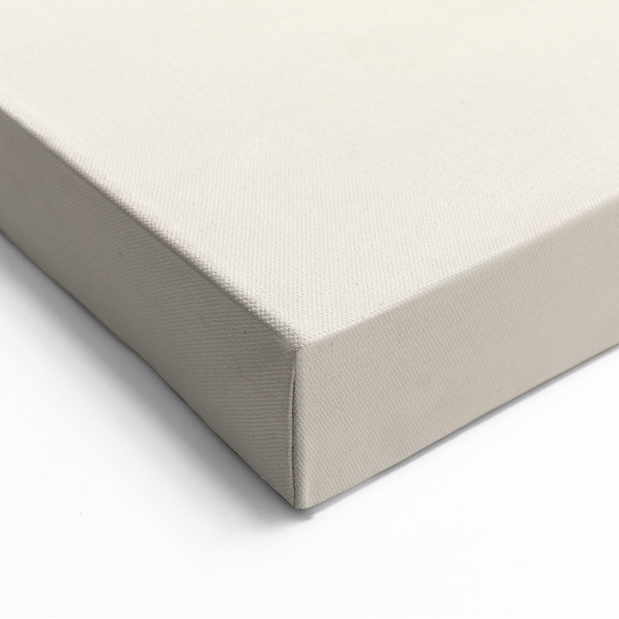 Portrait Abstract Art - Elegant Black & White Canvas Print