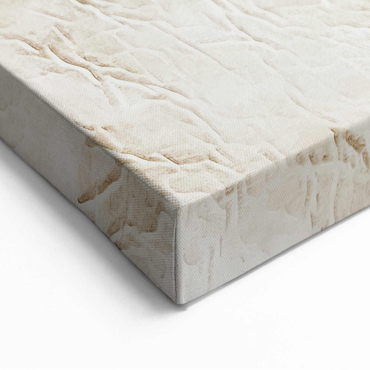 Organic Textured Beige and Cream Abstract Art – Canvas Print