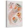 Intricate Jellyfish Modern Wall Art - Abstract Marine Art by Ernst Haeckel