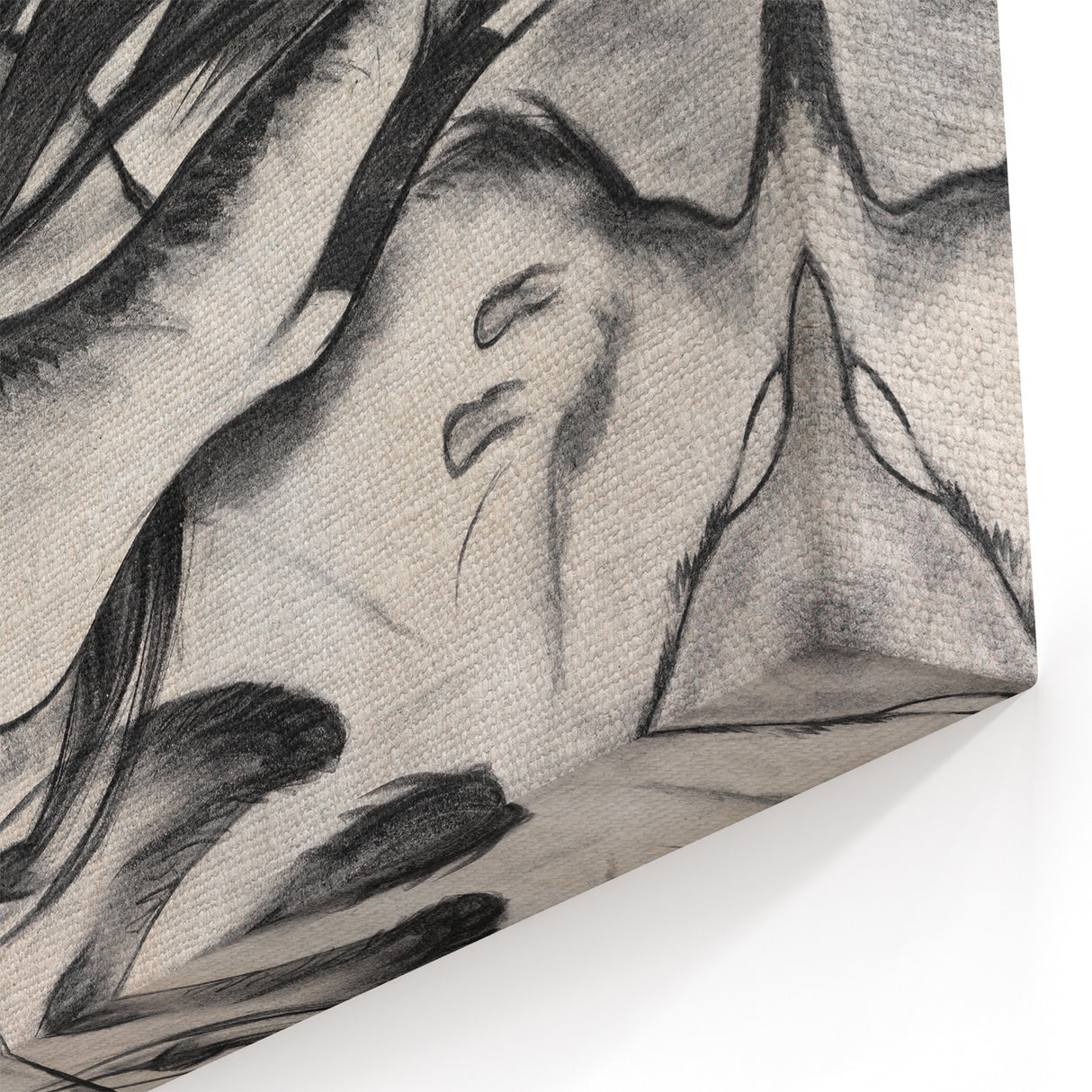 Abstract Animal Forms - Expressive Modern Wall Art in Monochrome