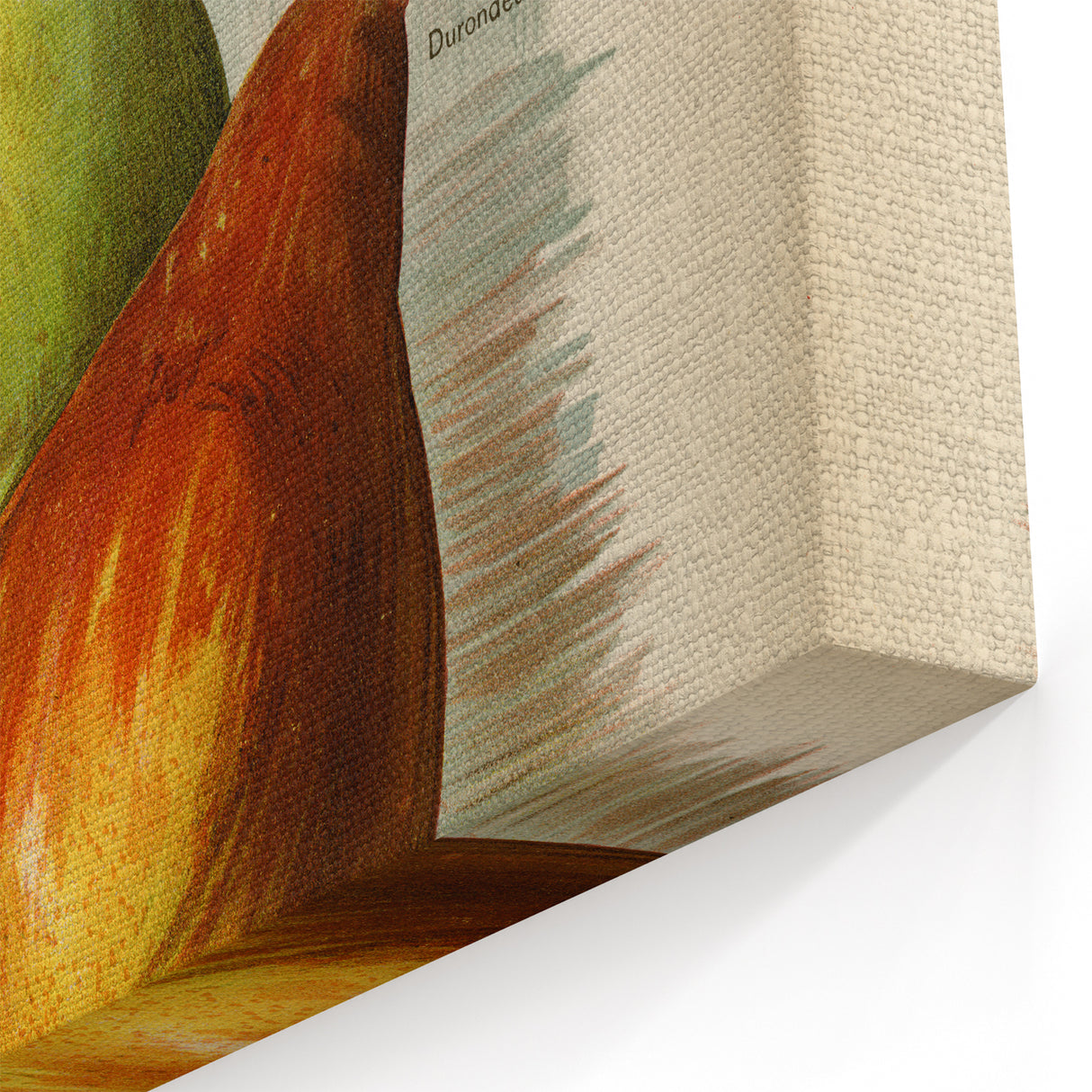 Realism Art Print of Vintage Pear Illustration - Classic Fruit Study