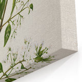 Realism Art Prints - Antique Botanical Plant Realistic Wall Art Canvas