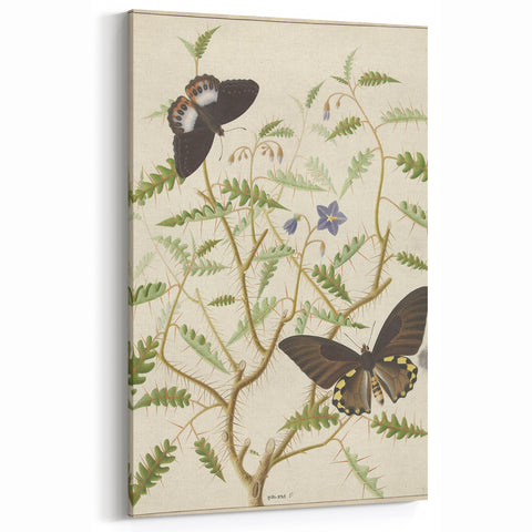 Realism Art Prints - Exotic Butterflies on Blooming Bush Botanical Art