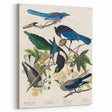 Realism Art Prints - Birds of America by John James Audubon Vintage Art