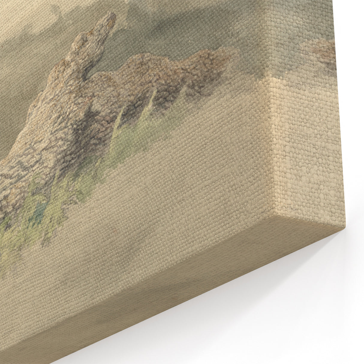 Realism Art Prints - The Fallen Tree Nature Study Canvas Art Print