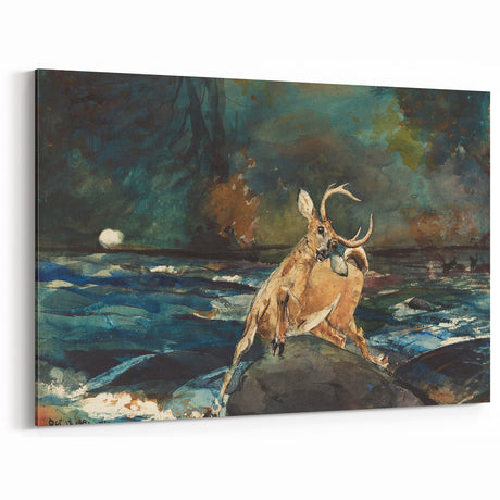 Realism Art Prints - Dramatic Deer Scene in Nature on Canvas and Acrylic
