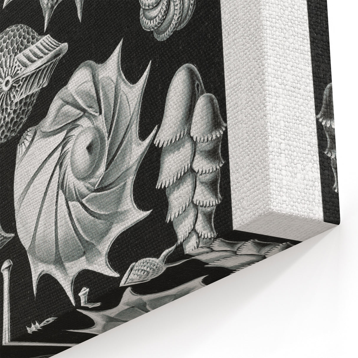 Scientific Nature Wall Art - Intricate Marine Microorganism Illustration