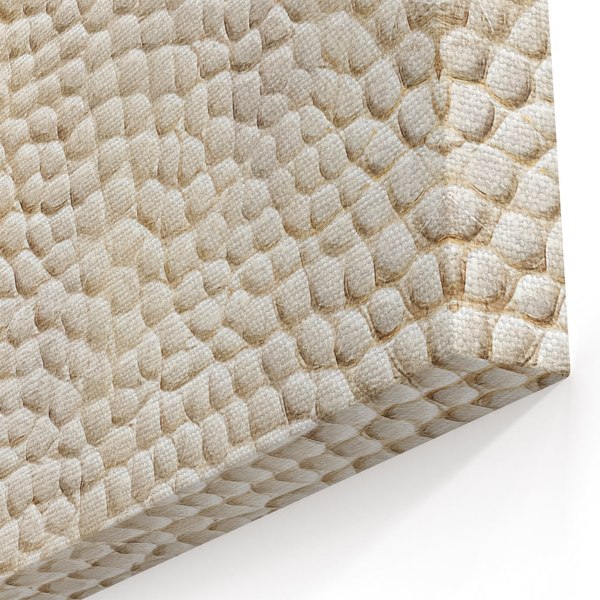 Textured Pebble Abstract Art - Cream and Beige Tactile Canvas Print