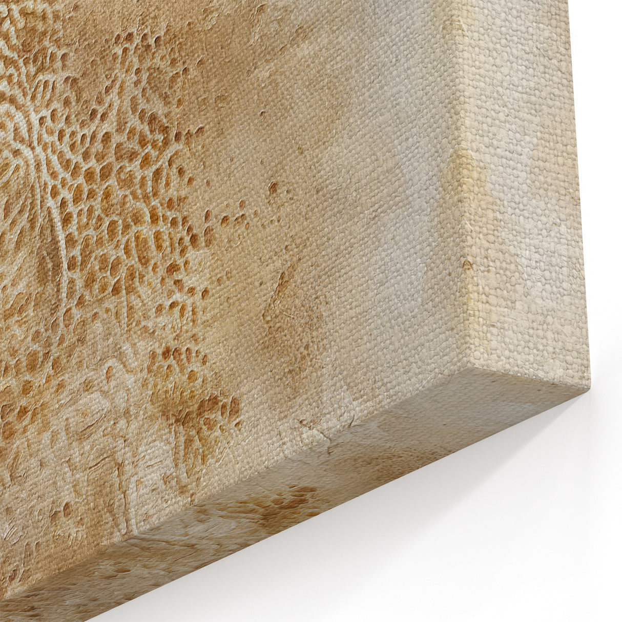 Organic Textured Abstract Art - Beige and Cream Natural Canvas Print