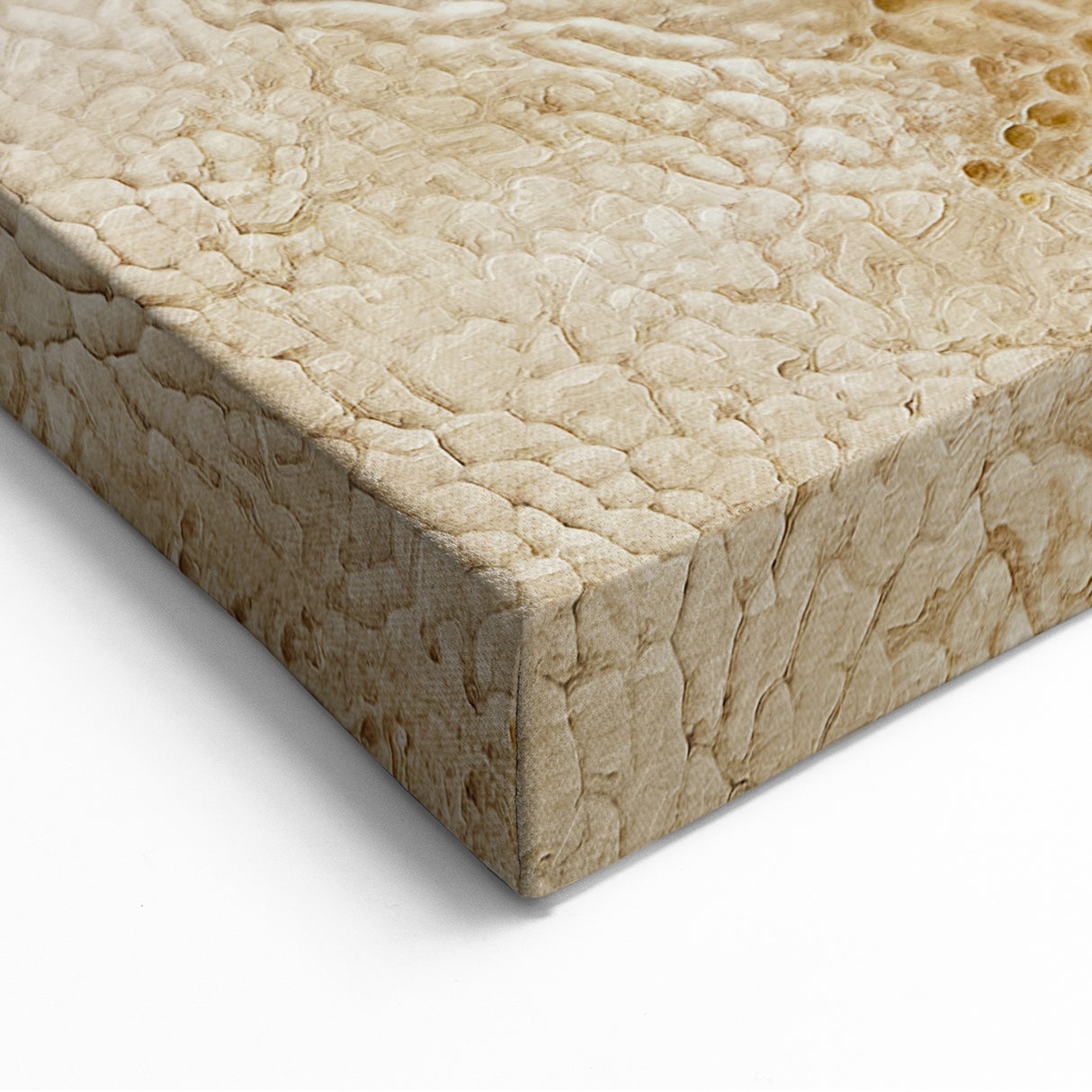 Organic Textured Abstract Art - Beige and Cream Natural Canvas Print