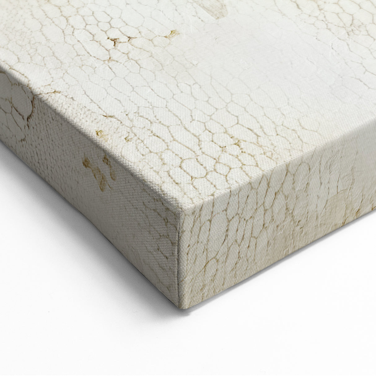 Textured Abstract Line Art - Earthy Beige Canvas Print