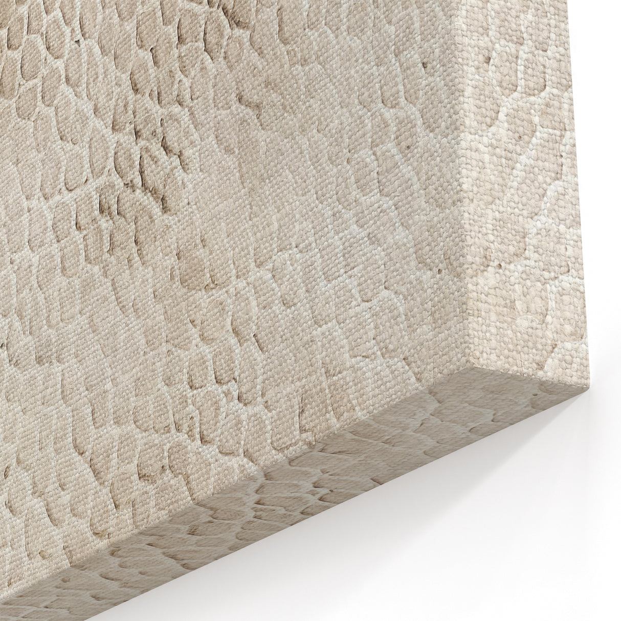 Textured Abstract Line Art - Beige and Cream Organic Canvas Print