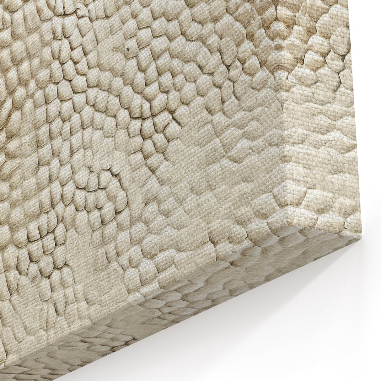 Textured Abstract Line Art - Beige and Cream Minimalist Canvas Print