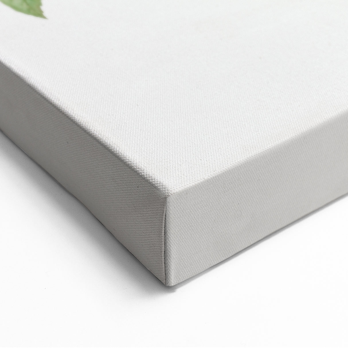 Neoclassical Agatha Rose Print - Classic Botanical Art by Redouté
