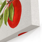 Detailed Art Realism - Vintage Plum Botanical Wall Art Print