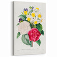 Neoclassical Camellia Narcissus Pansy Print - Floral Art by Redouté
