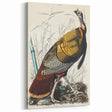 Detailed Wild Turkey Realism Art Print - Classical Realism Canvas Decor