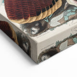 Detailed Wild Turkey Realism Art Print - Classical Realism Canvas Decor
