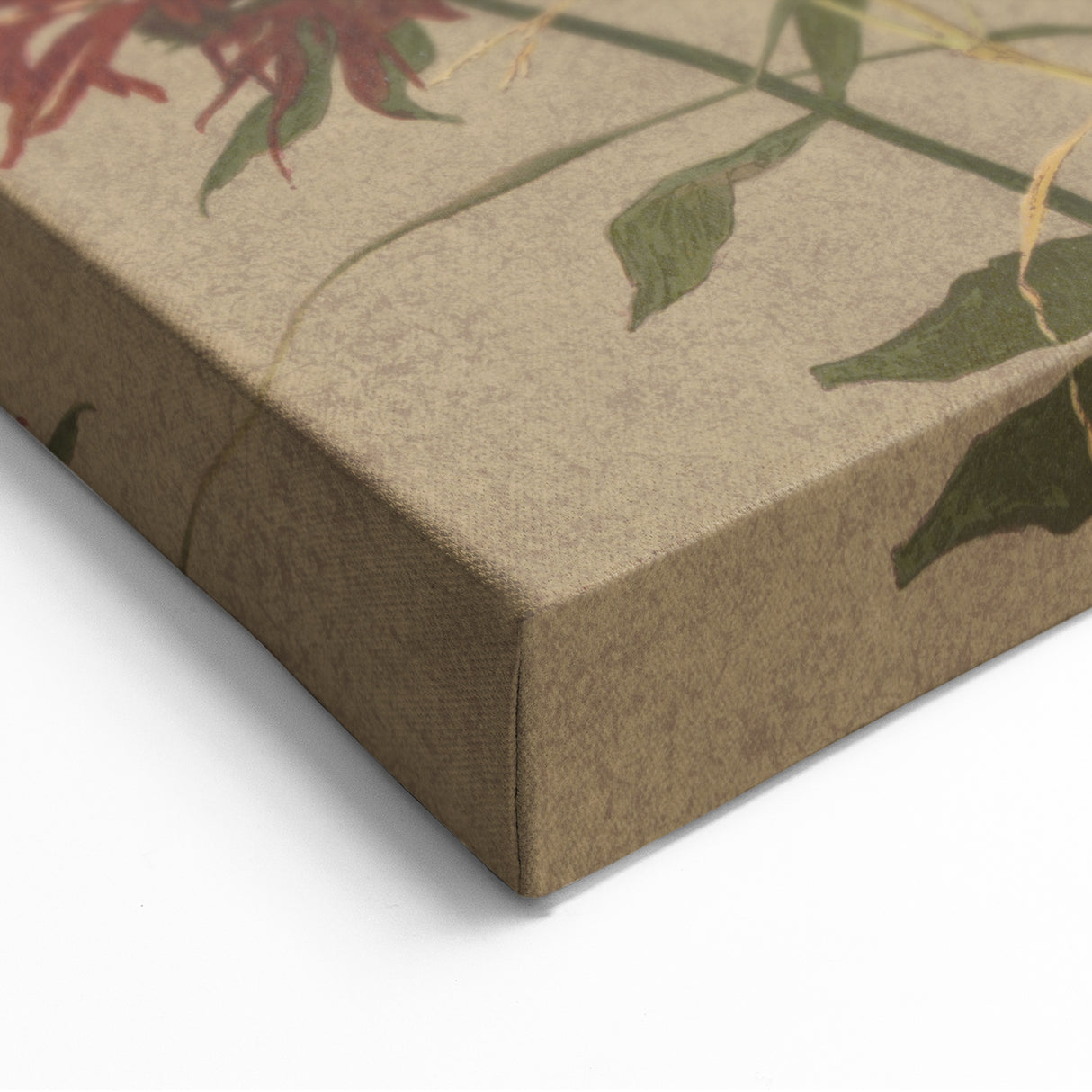 Balm and Spiraea Realism Art Print - Detailed Floral Canvas Decor