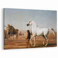 The Wellesley Grey Arabian Realism Art Print - Elegant Desert Canvas