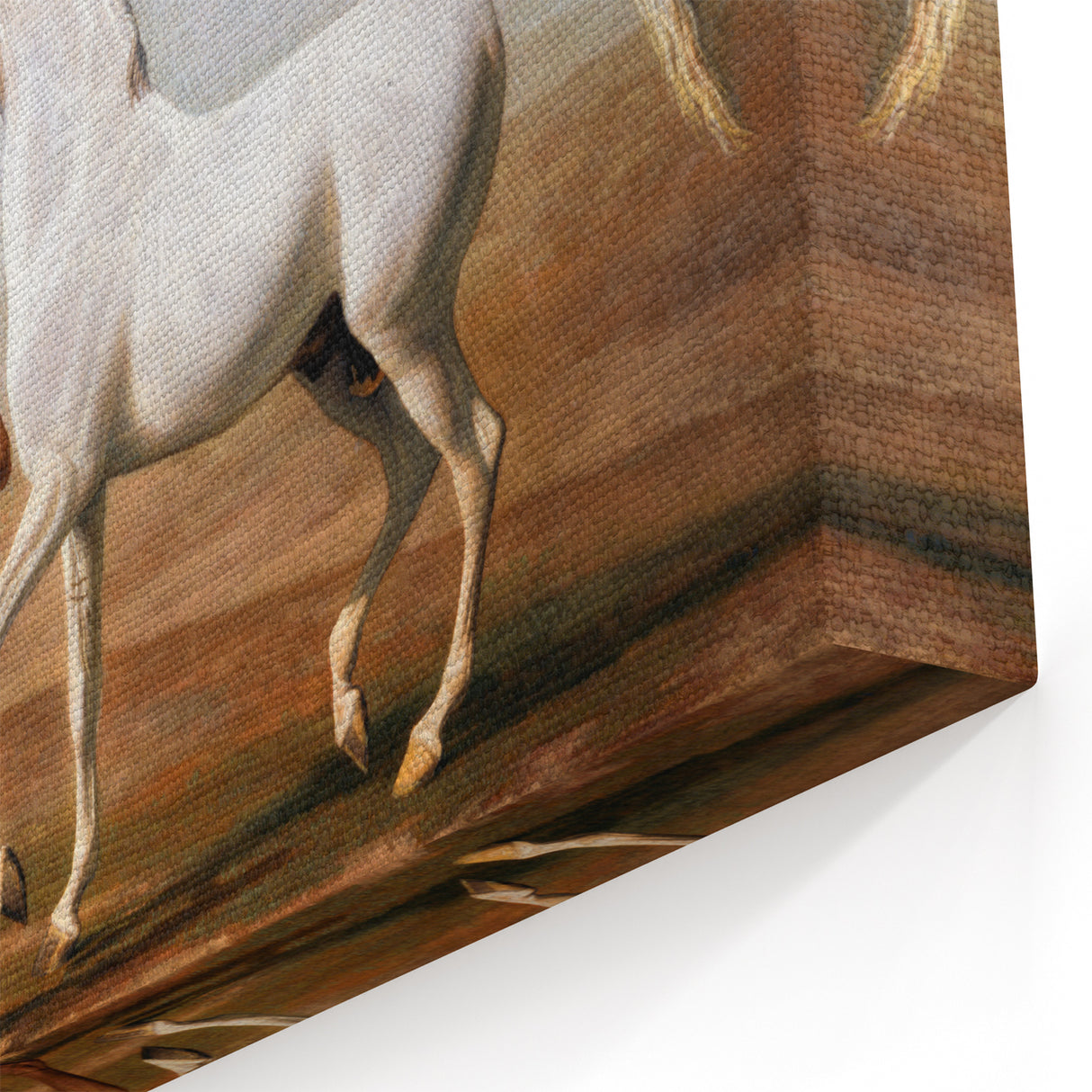 The Wellesley Grey Arabian Realism Art Print - Elegant Desert Canvas