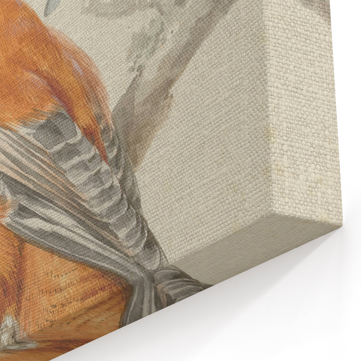 Classical Realism Painting of Exotic Birds - Realism Art Canvas Print