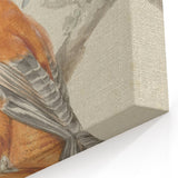 Classical Realism Painting of Exotic Birds - Realism Art Canvas Print