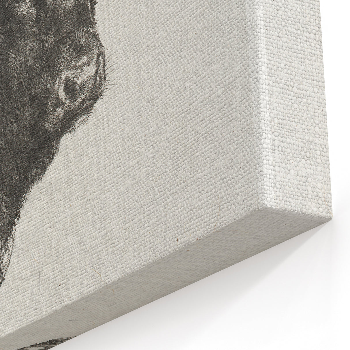 Animal Realism Art Print - Head of a Bull by Marie Rosalie Bonheur - Fine Detail Sketch