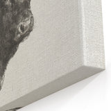 Animal Realism Art Print - Head of a Bull by Marie Rosalie Bonheur - Fine Detail Sketch