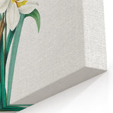 Neoclassical Art Print: Double Daffodil by Redouté - Botanical Wall Decor