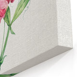 Neoclassical Art Print: Everlasting Pea by Redouté - Classic Floral Decor