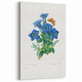 Neoclassical Art Print of Gentiana Acaulis by Redouté - Classical Style