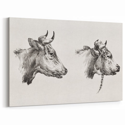 Realism Animal Study Art Print - Two Bull Heads by Jean Bernard