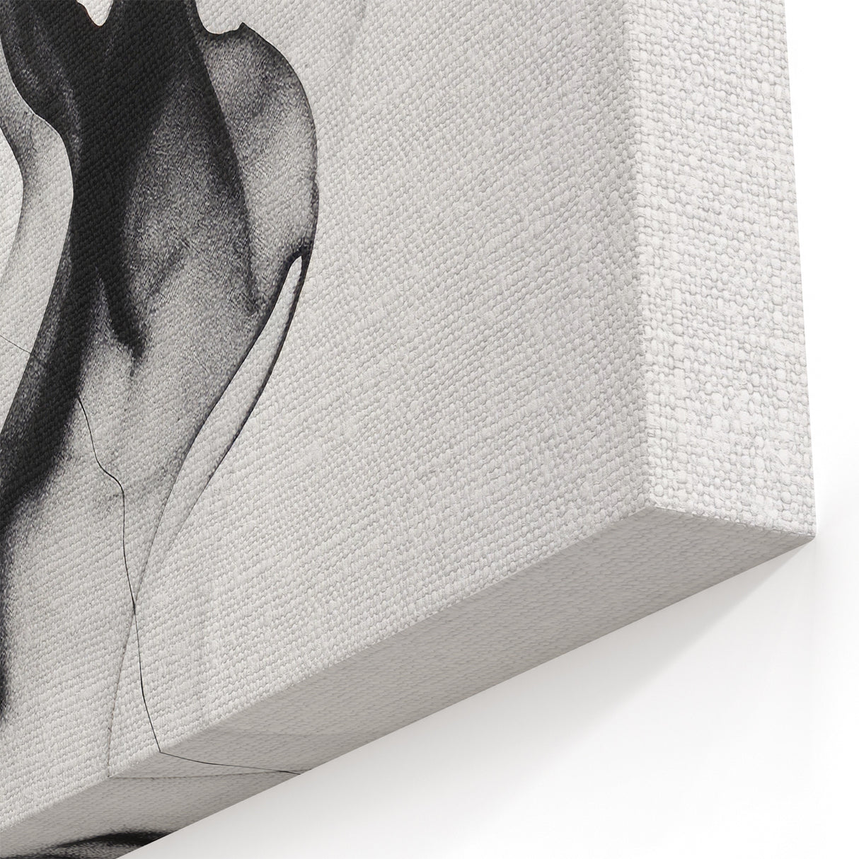 Black and White Abstract Line Art - Minimalist Smoke Flow Canvas