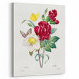 Neoclassical Art Print of Hellebore and Oeillet by Redouté - Floral Decor