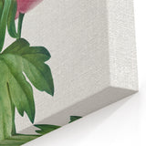 Neoclassical Art Print: Peony Flower - Elegant Botanical Wall Art