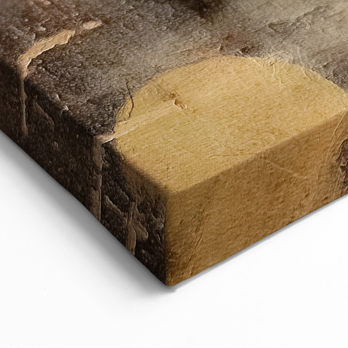 Abstract Botanical Prints - Rustic Lotus Flower Canvas in Warm Tones