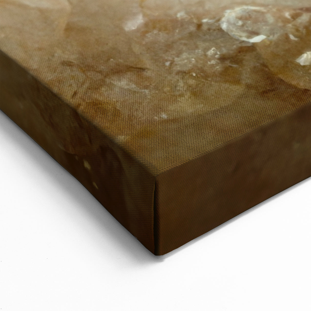 Abstract Floral Art - Elegant Blush Flower Canvas