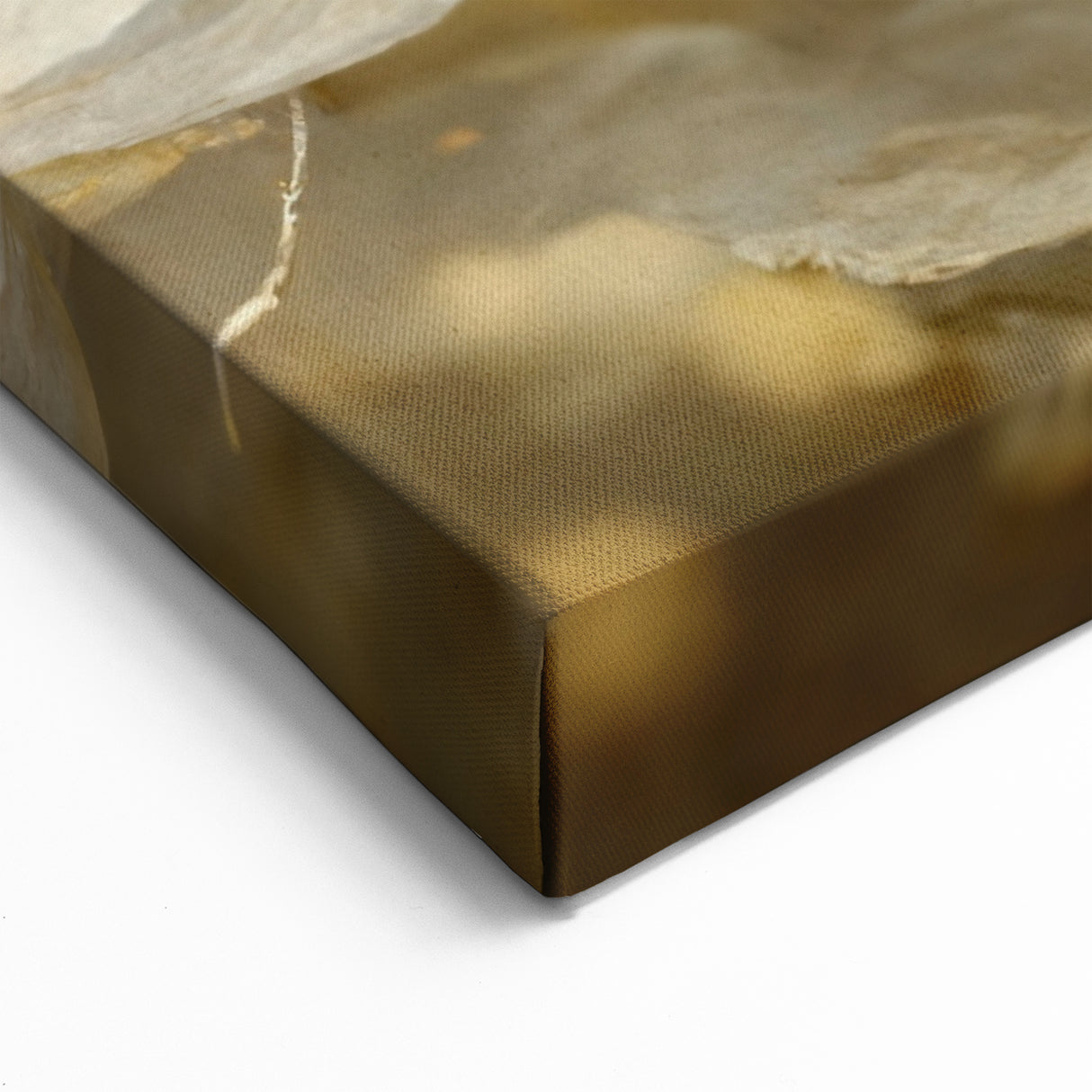 Floral Wall Art - Creamy Petal Abstract Canvas