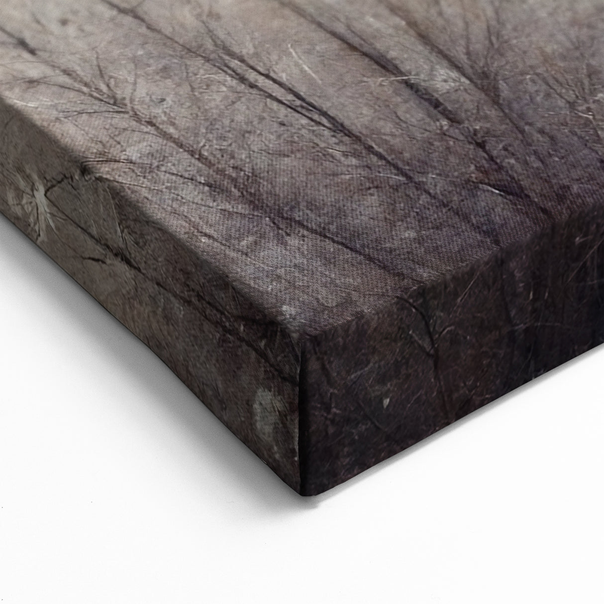 Abstract Botanical Prints - Ethereal Wildflower Canvas