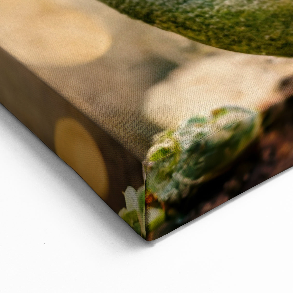 Floral Abstract Canvas Art - Succulent Beauty in Earthy Tones