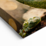 Floral Abstract Canvas Art - Succulent Beauty in Earthy Tones