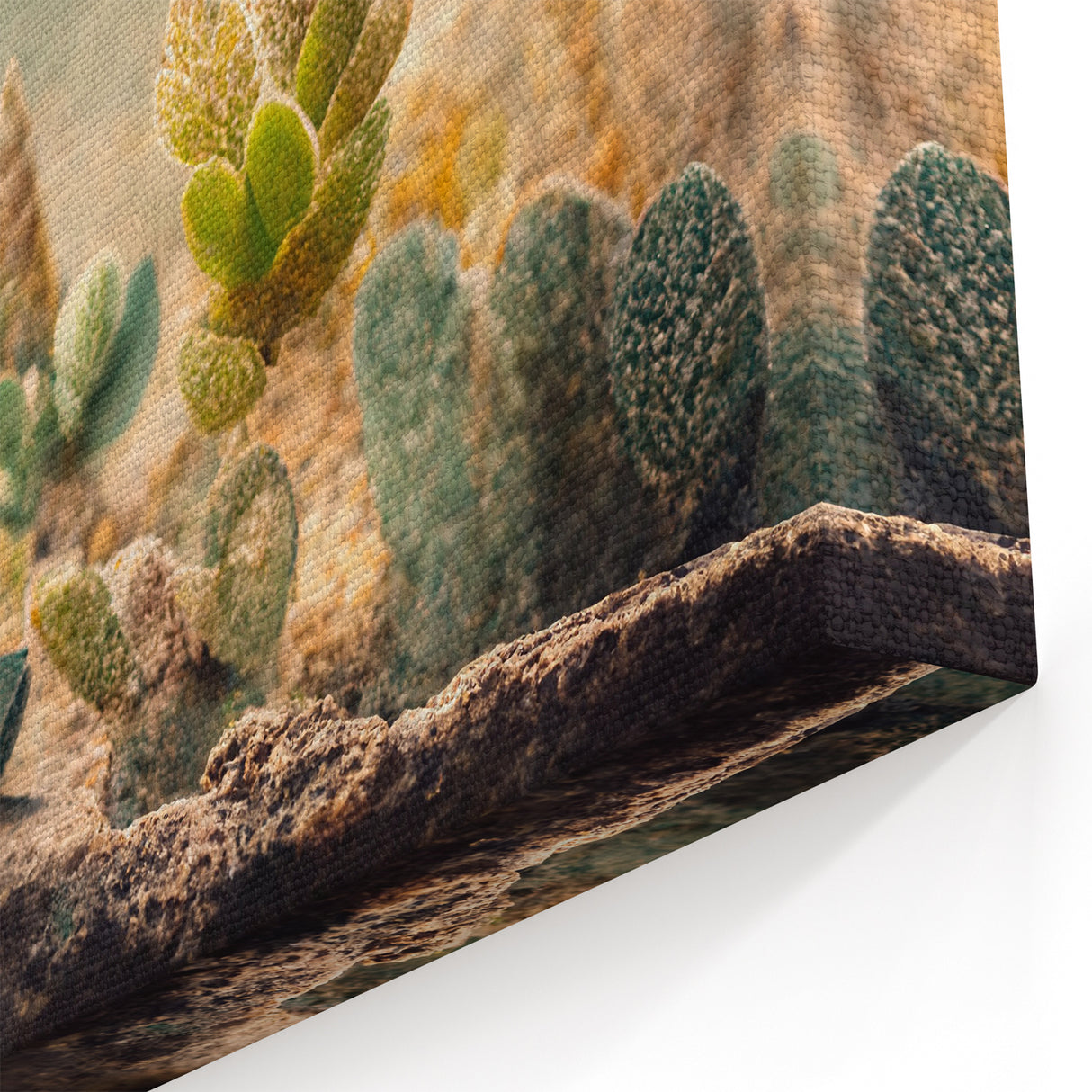 Colorful Abstract Florals - Succulent Botanical Art in Desert Hues