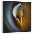 Floral Wall Art - Minimalist Calla Lily in Soft Light