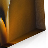 Floral Wall Art - Minimalist Calla Lily in Soft Light