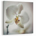 Abstract Floral Art - Elegant White Orchid on Canvas