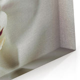 Abstract Floral Art - Elegant White Orchid on Canvas