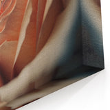 Modern Floral Abstract - Elegant Peach Rose Canvas Art