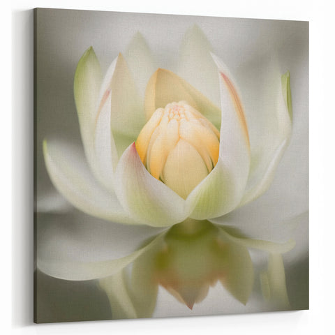 Abstract Botanical Print - Tranquil Lotus Blossom Canvas Art