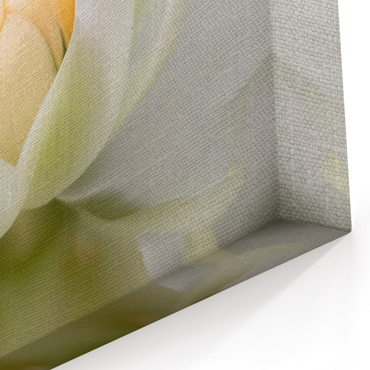 Abstract Botanical Print - Tranquil Lotus Blossom Canvas Art